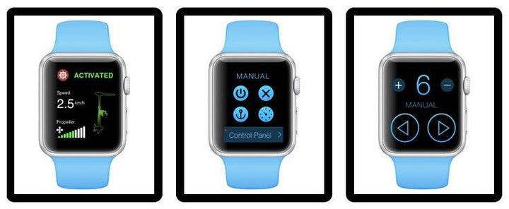 HASWING Cayman B GPS 80lb Bow Mount Trolling Motor 24V | 4Boats