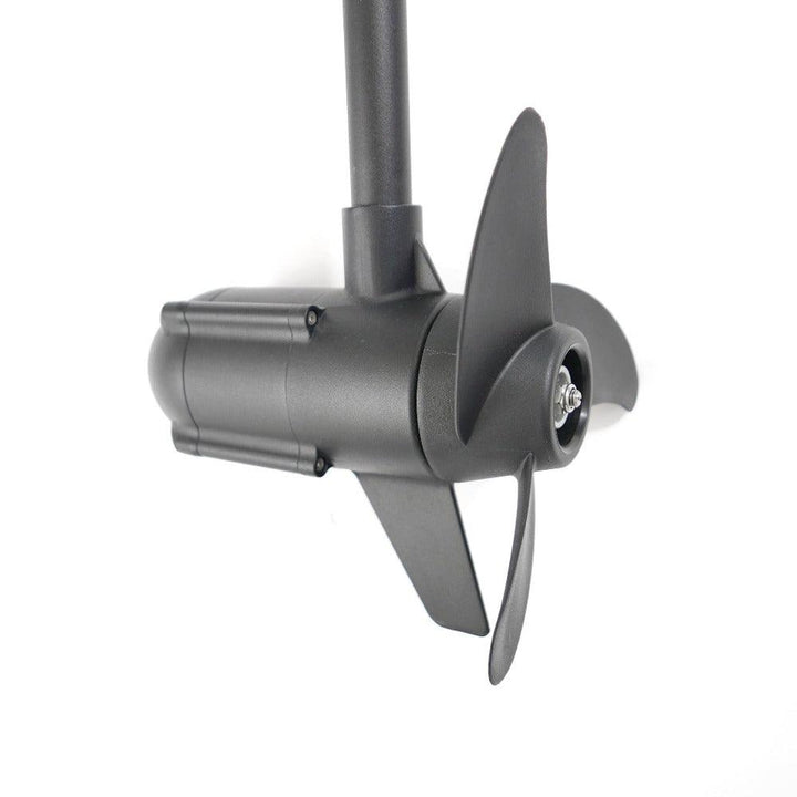 HASWING Protruar 2HP Electric Outboard 24V with Digimax Controller - 4Boats