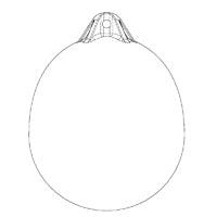 OCEAN Buoy R3 44×58 cm Red/Blue life buoy | 4Boats