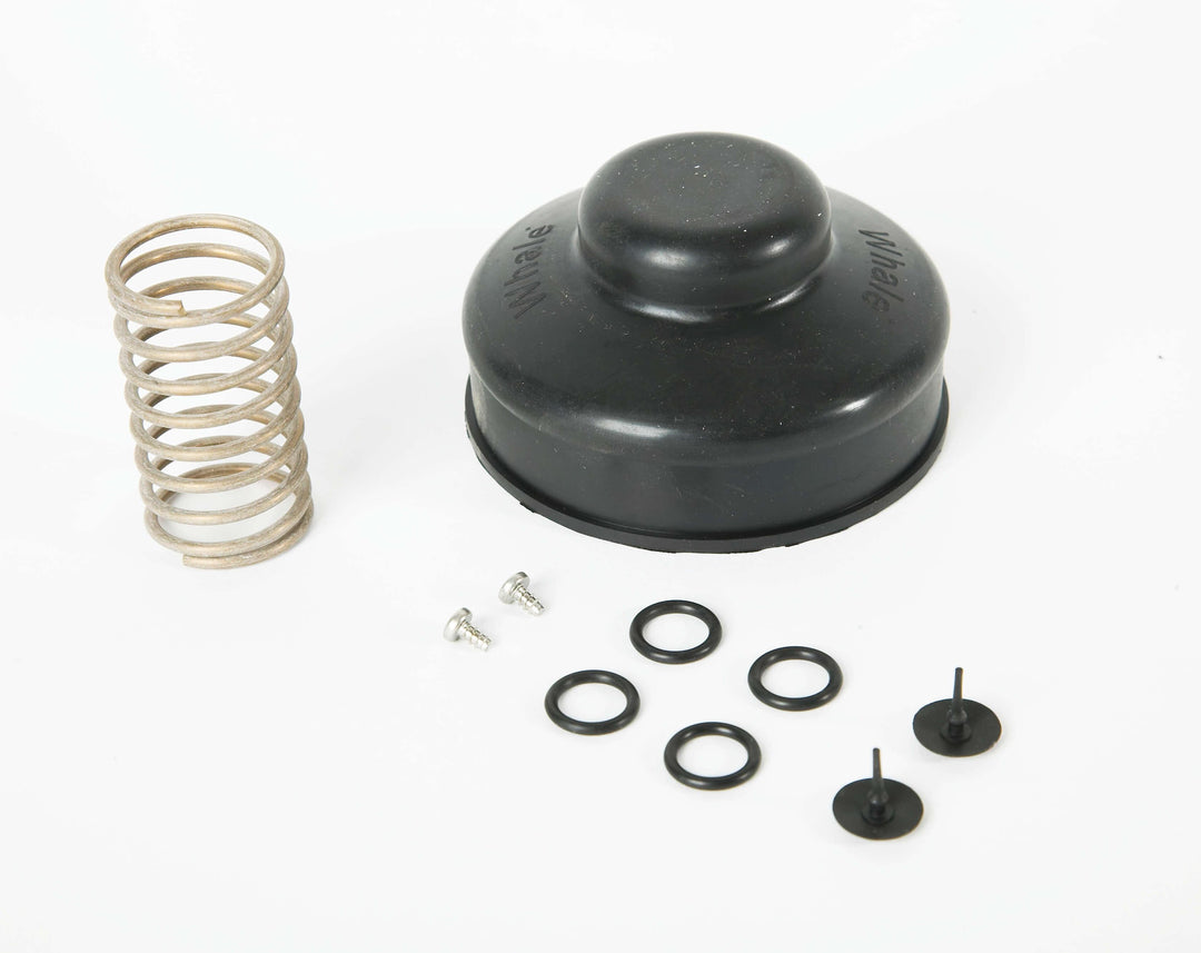 Service Kit for Babyfoot Pump (Grey Body) - 4Boats