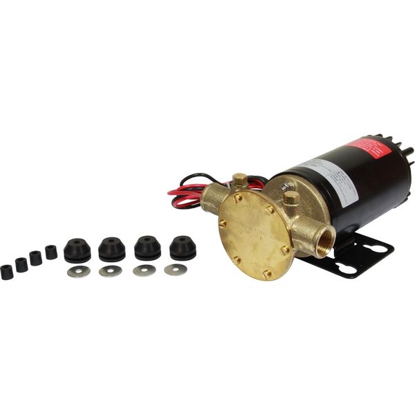 Heavy Duty 12/24V Impeller Pump for Marine Use | 4Boats