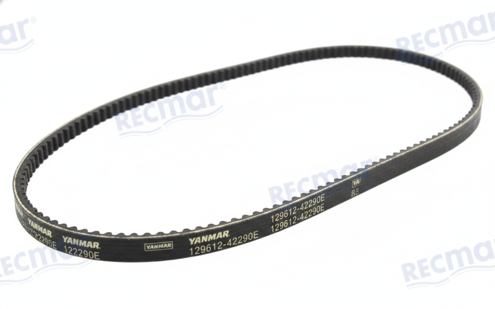 YANMAR BELT 129612-42290E - OEM replacement | 4Boats - Studio image 1