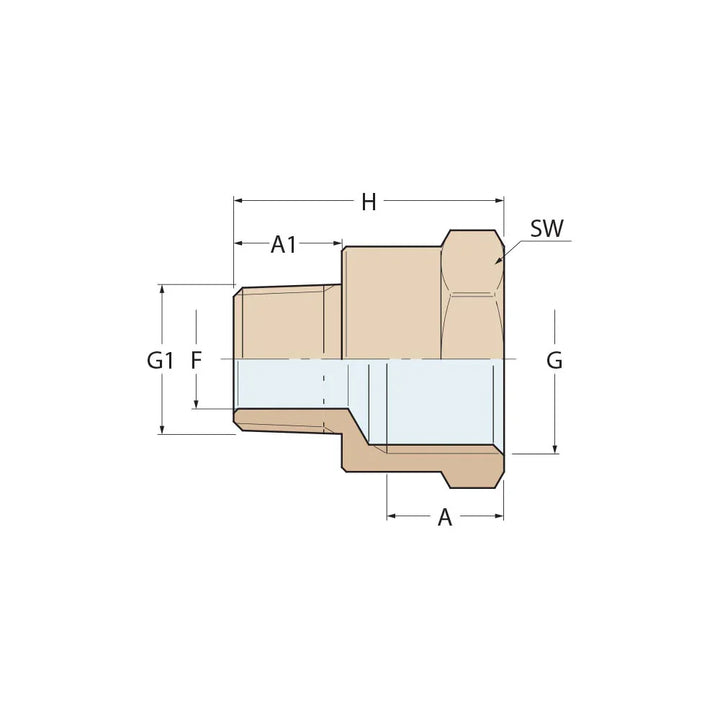 Guidi Bronze Reducing Nipple F-M 1/2 × 3/8 in | 4Boats