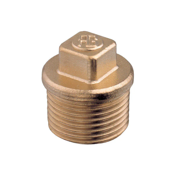 Guidi Brass Plug M 1/4in BSPT | 4Boats