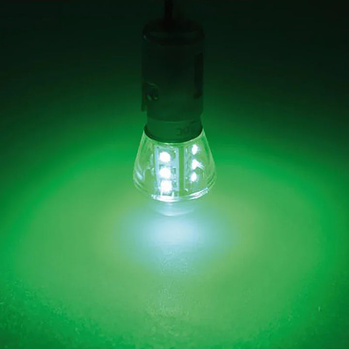 Talamex S-Led 15 10-30V Bay15D Green
