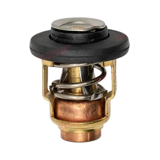 Yamaha Thermostat F15 F20 F25 4-Stroke Outboard 6AH-12411-00