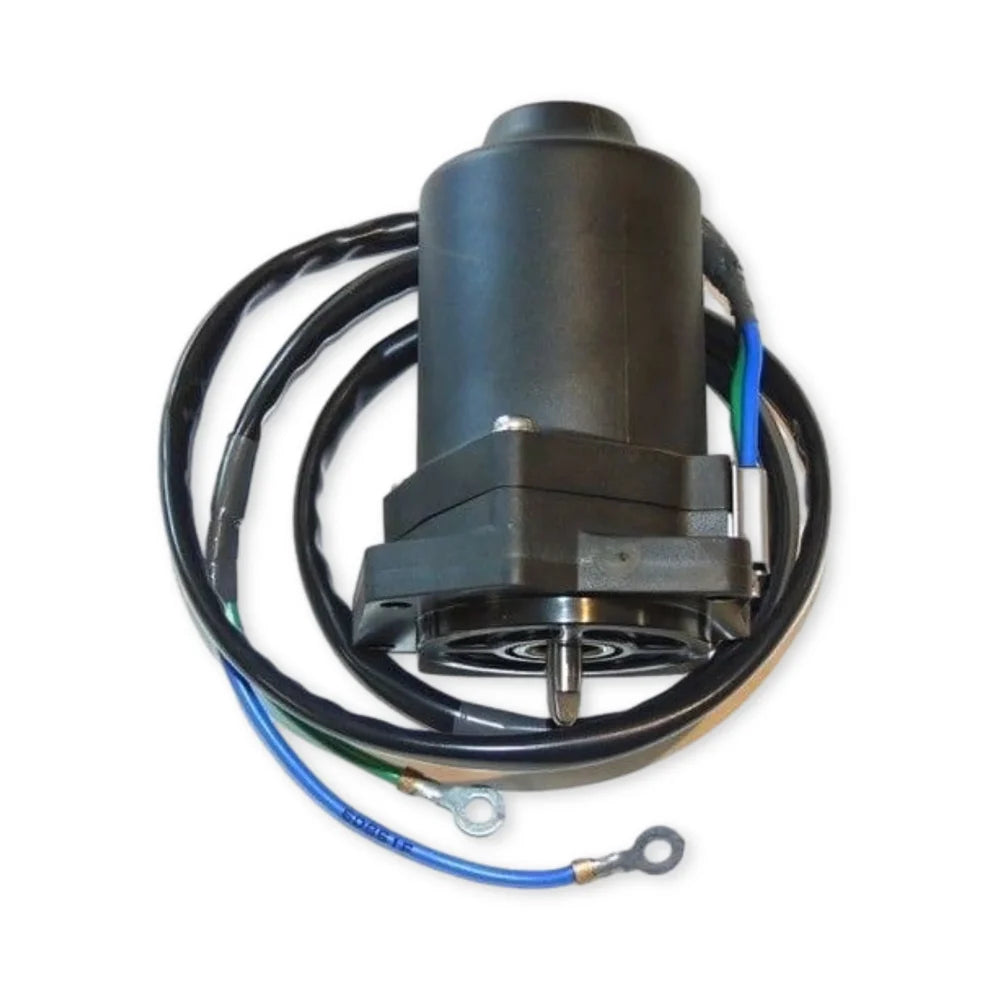 Yamaha F75 F80 F90 F100 Trim Tilt Motor 12V 6D8-43880-09