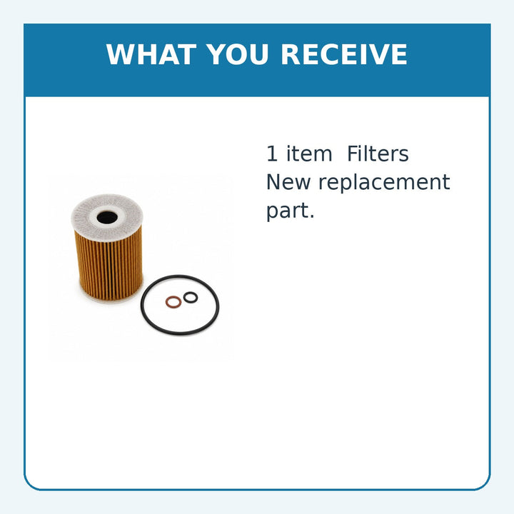 Oil Filter Element for Mercruiser QSD 2.0 2008 +, Replaces 35-879312041 - supplied item