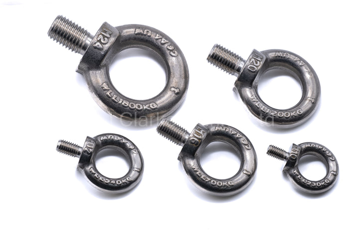 CE Approved stainless steel lifting eye bolt forged DIN 580 316 A4 marine grade stainless steel M10 - M24 - 4Boats