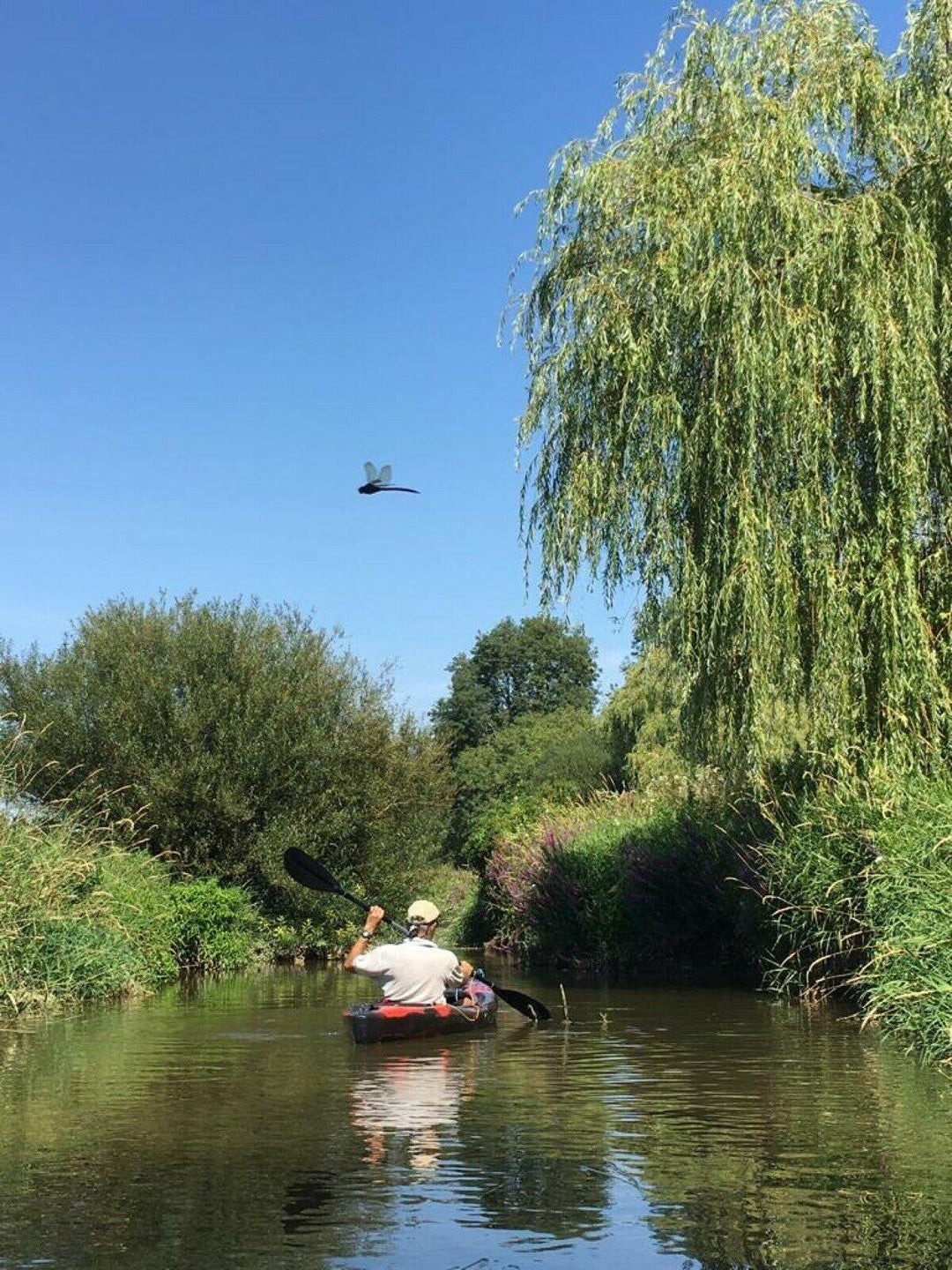 DELUXE SIT IN KAYAK - 4Boats