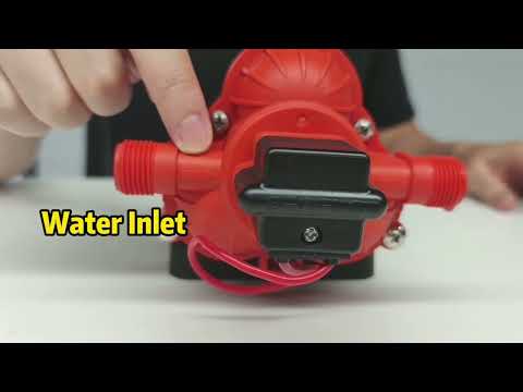Seaflo 12V 3.0GPM 70PSI Marine Washdown Pump Kit 33 Series SFDP1-030-070-33