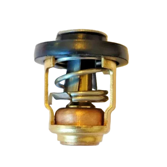 Yamaha Thermostat F15 F20 F25 4-Stroke Outboard 6AH-12411-00