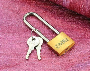 Brass Padlock with Long SS Shackles - 4Boats