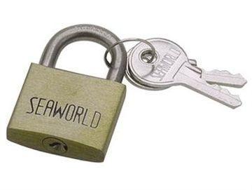 Brass Padlock with SS Shackles - 4Boats